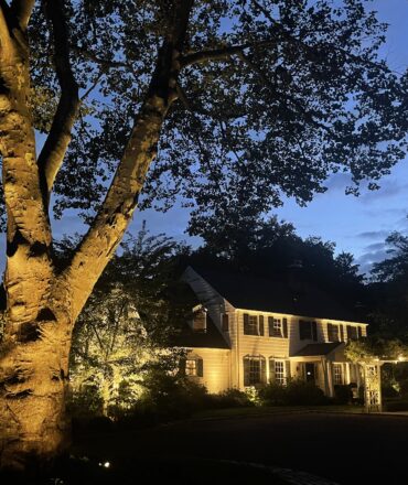 IMG4950 Epic Landscape Lighting